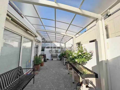 本体色 ホワイト