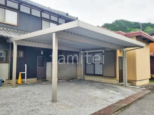 本体色 プラチナステン