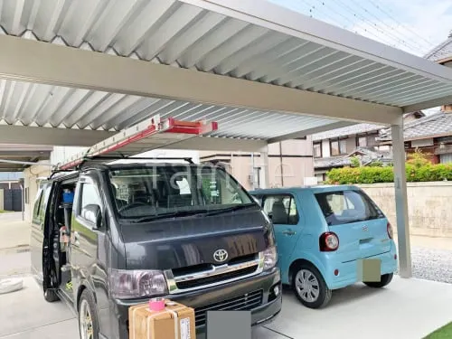 本体色 プラチナステン