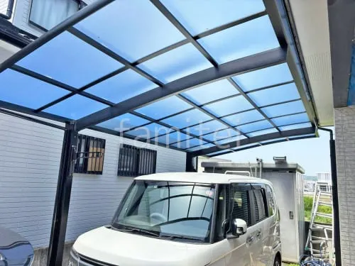 本体色 ブラック