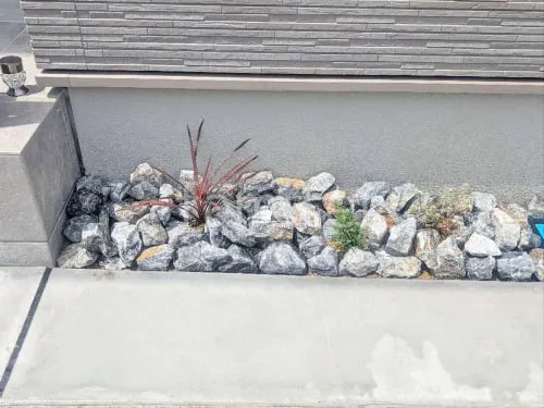 ロックガーデン 栗石敷き