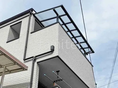 本体色 ブラック