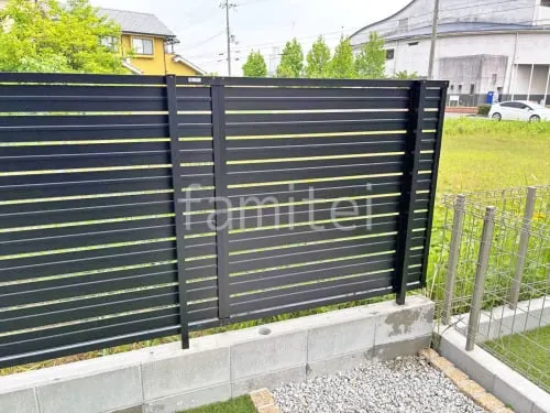 本体色 ブラック