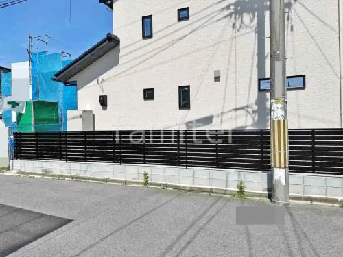 本体色 ブラック