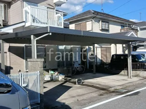 本体色 プラチナステン