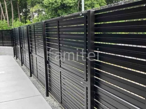 本体色 ブラック