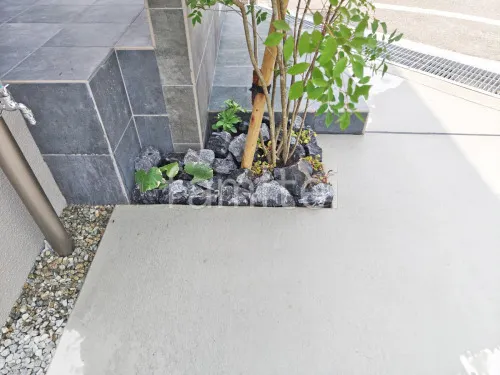 ロックガーデン ユニソン ワズロック アオバ