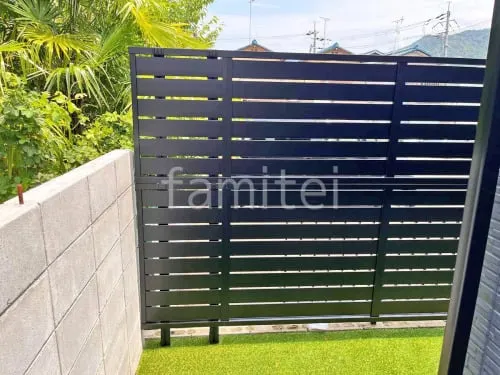 本体色 ブラック