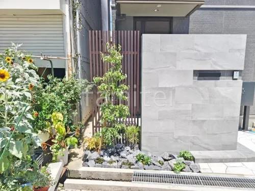 シンボルツリー   ホンコンエンシス 