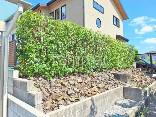 植栽 葉刈り剪定