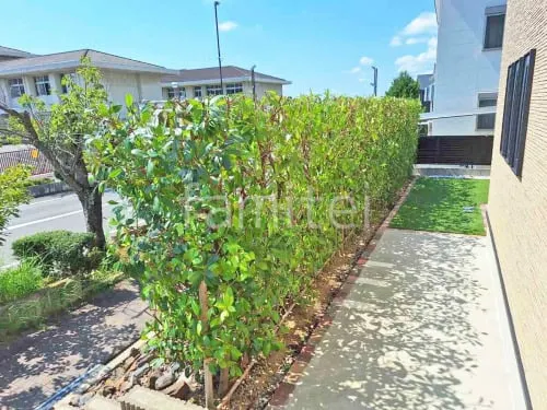 植栽 葉刈り剪定