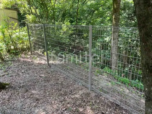 本体色 シャイングレー