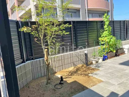 シンボルツリー イロハモミジ 落葉樹 植栽