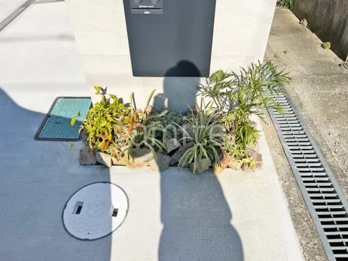 ロックガーデン 栗石敷き 下草 植栽