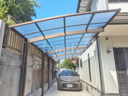 本体色 ブラウン