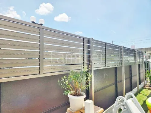 本体色 シャイングレー