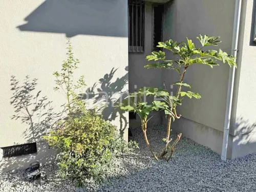 植栽 葉刈り剪定