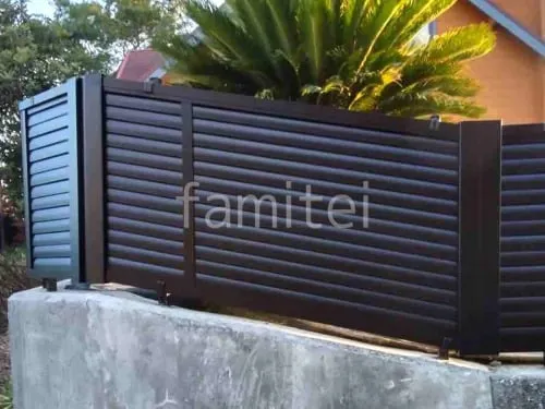 本体色 ブラック