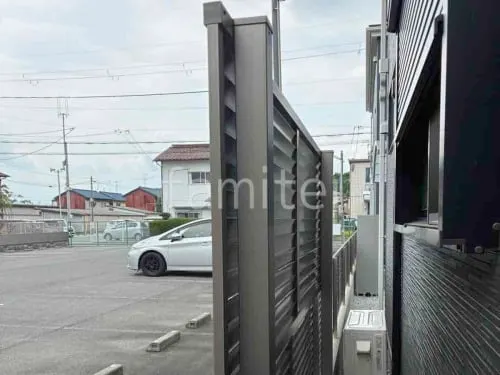 本体色 シャイングレー