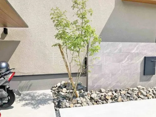 シンボルツリー 落葉樹 アオダモ 植栽 ロックガーデン 割栗石敷きの外