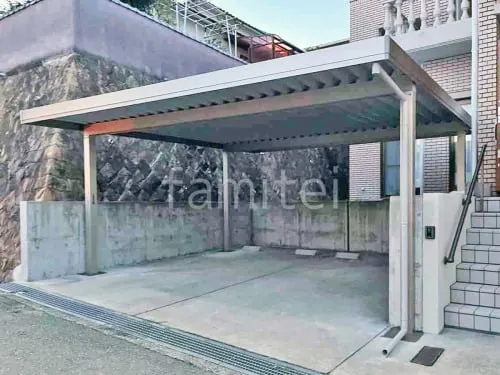 本体色 プラチナステン