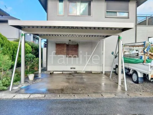 本体色 プラチナステン