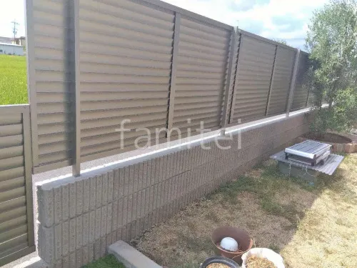 本体色 シャイングレー