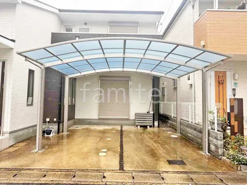 本体色 プラチナステン