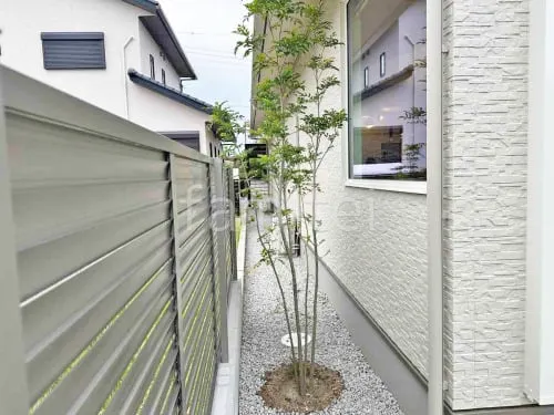 シンボルツリー