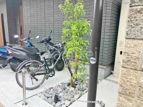 シンボルツリー ホンコンエンシス ロックガーデン 割栗石敷き