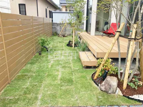 芝生張り 姫高麗芝