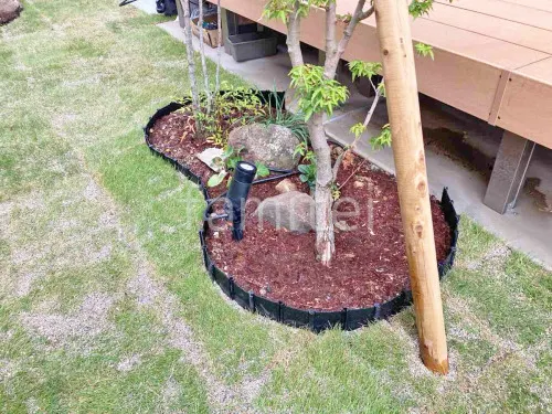 芝生張り 姫高麗芝