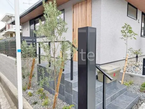 シンボルツリー オリーブ 常緑樹 植栽