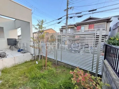 本体色 プラチナステン