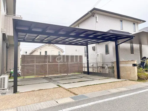 本体色 ブラック