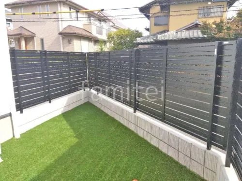 本体色 ブラック