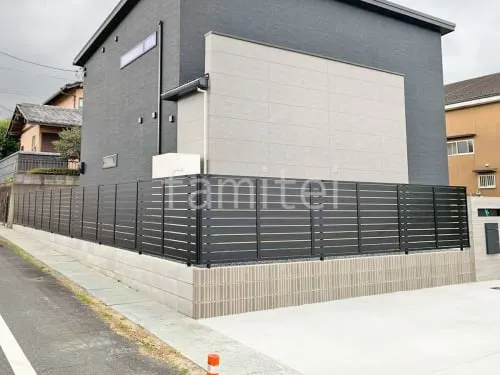 本体色 ブラック