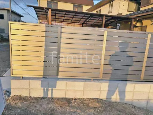 本体色 シャイングレー