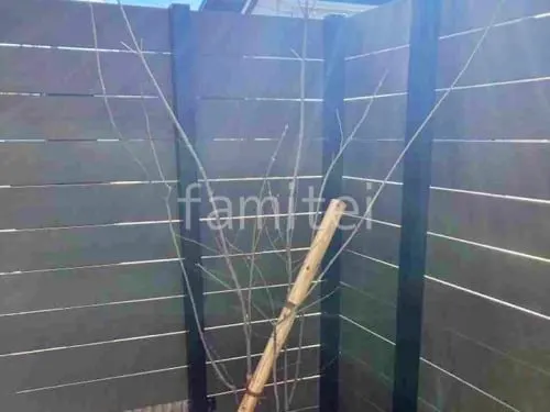 シンボルツリー 落葉樹 マルバアオダモ 植栽