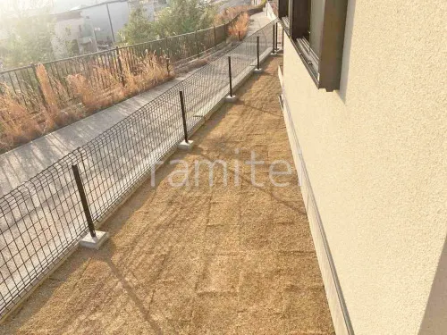 芝生張り 姫高麗芝