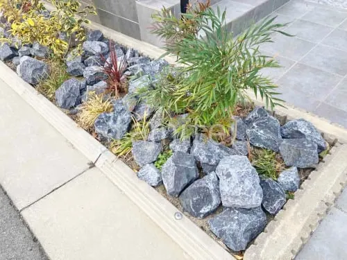 ロックガーデン ユニソン ワズロック アオバ