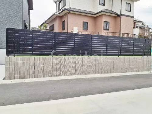 本体色 ブラック