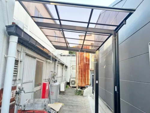 本体色 ブラック