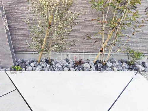 ロックガーデン ユニソン ワズロック アオバ