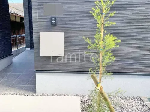 シンボルツリー ティーツリー