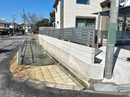 本体色 プラチナステン