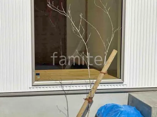 シンボルツリー 落葉樹 アオダモ 植栽