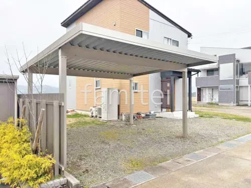 本体色 プラチナステン