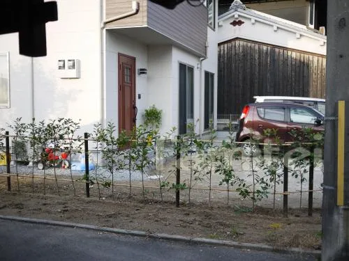 橿原市　生垣植え　レッドロビン