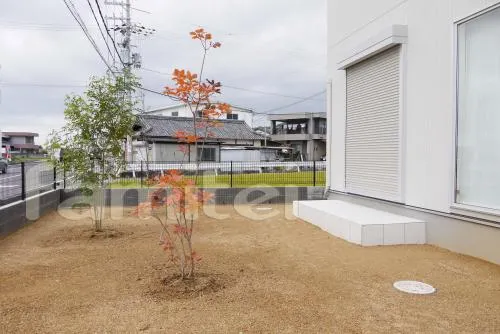 岩出市　オープン外構　シンボルツリー　境界フェンス